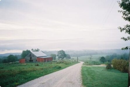 A Barn Raising: “Brush Fires” Image